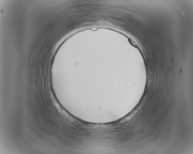 X0000081631534200702121652