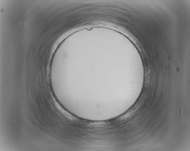 X0000081631535200702121652