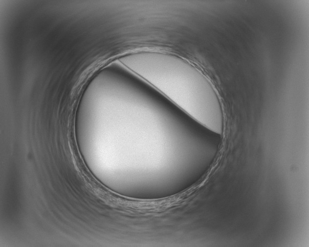X0000082140001200701191010
