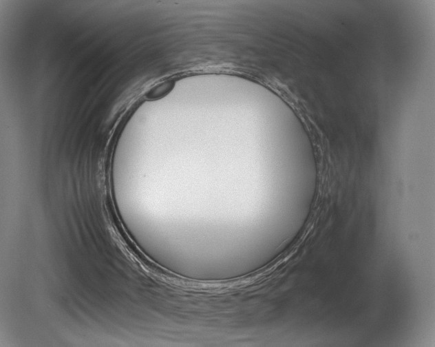 X0000082140002200701191010