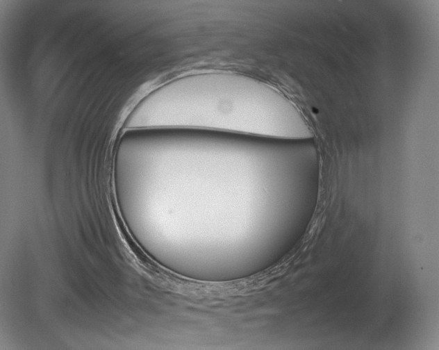 X0000082140003200701191010