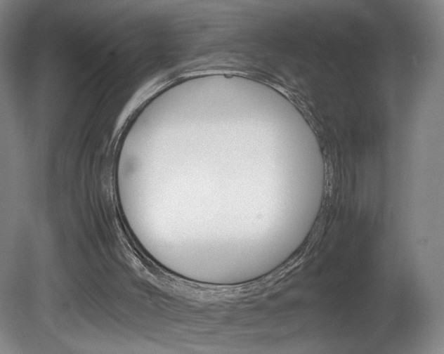 X0000082140004200701191010