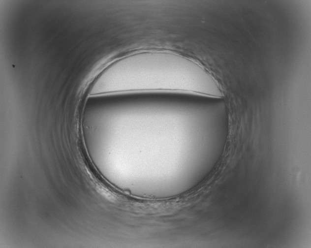 X0000082140005200701191010