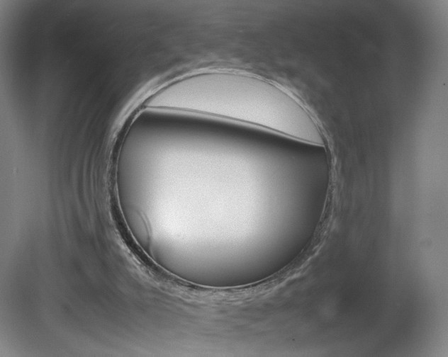 X0000082140007200701191010