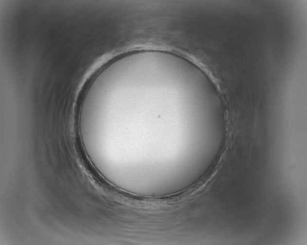 X0000082140008200701191010