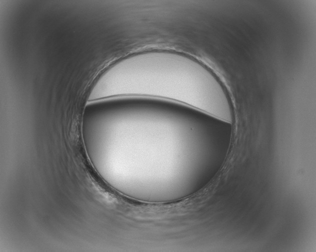X0000082140009200701191010