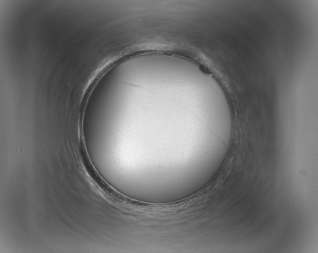 X0000082140011200701191009