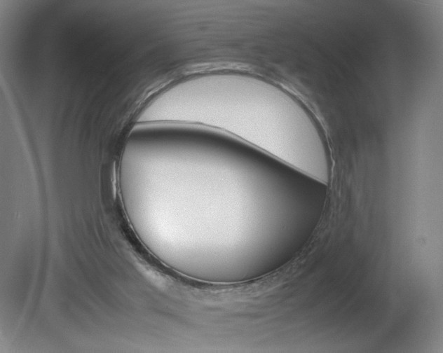 X0000082140013200701191009