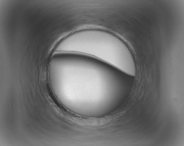 X0000082140015200701191009