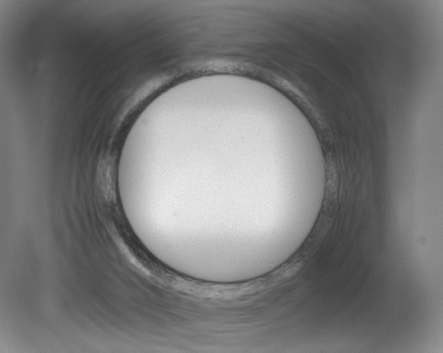 X0000082140016200701191009