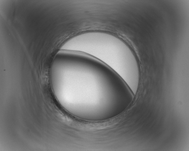 X0000082140017200701191009
