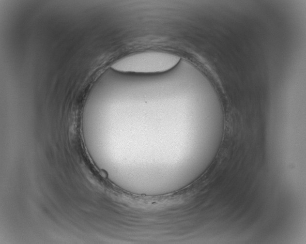 X0000082140018200701191009