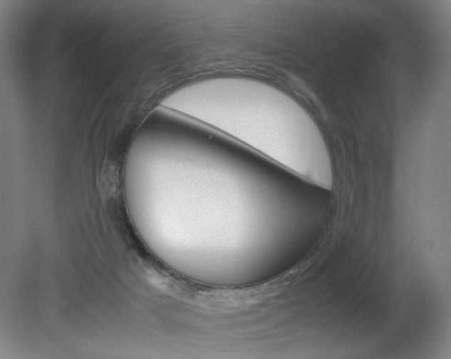 X0000082140025200701191009