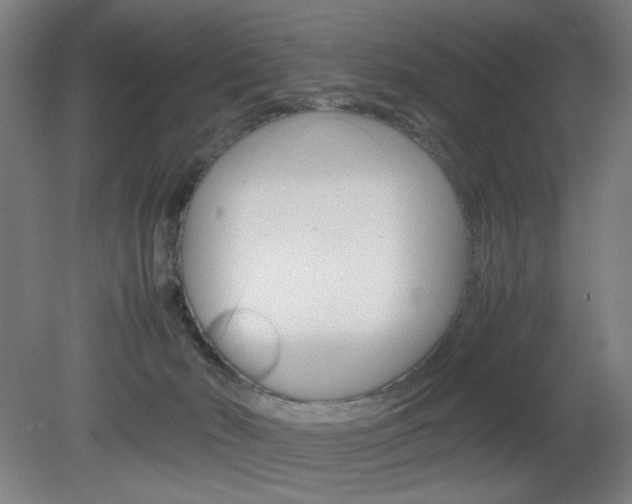 X0000082140030200701191009