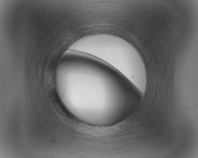 X0000082140031200701191009