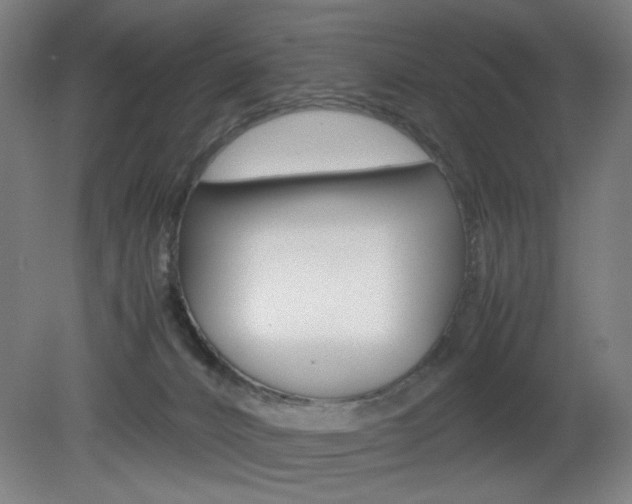 X0000082140032200701191009