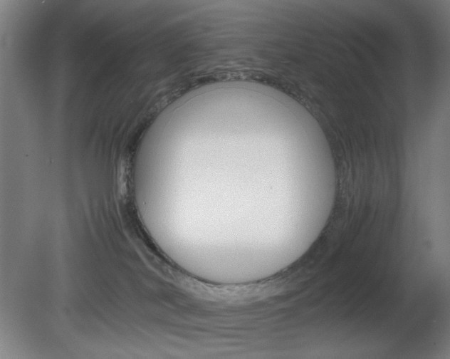 X0000082140038200701191009