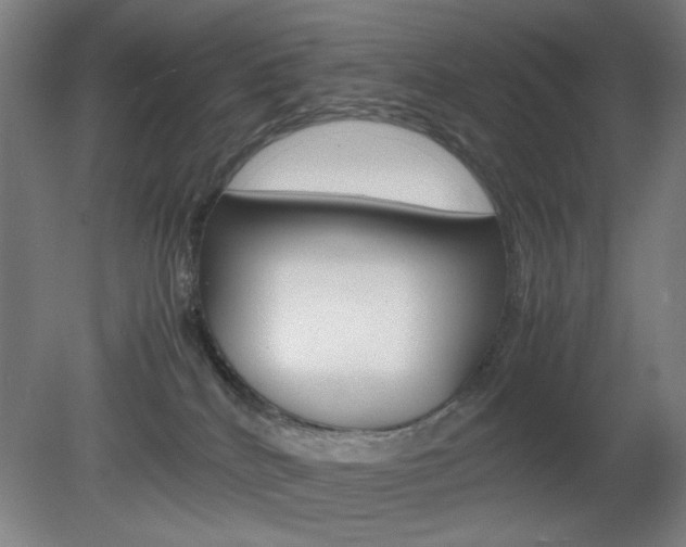 X0000082140040200701191009