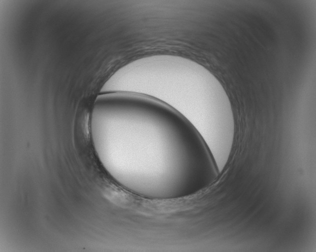 X0000082140041200701191009