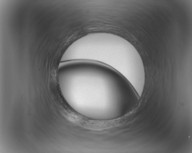 X0000082140045200701191009