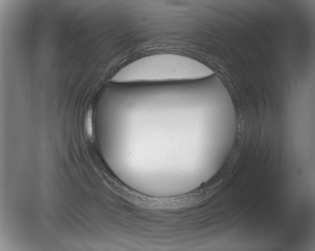 X0000082140046200701191009