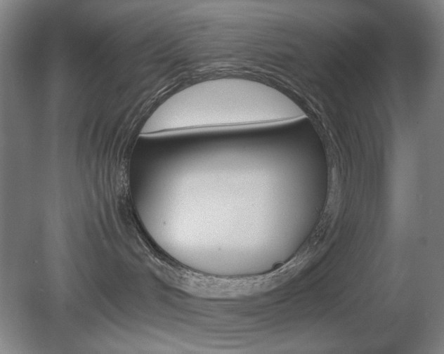 X0000082140048200701191009