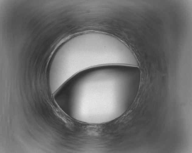 X0000082140050200701191008