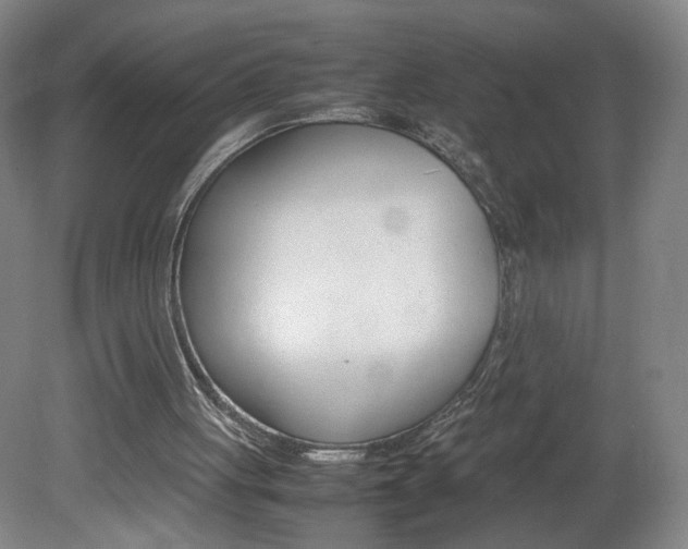 X0000082140051200701191008