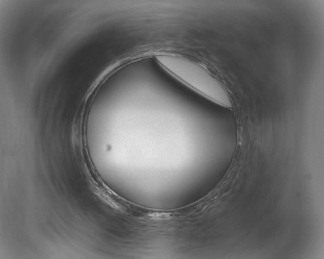 X0000082140052200701191008