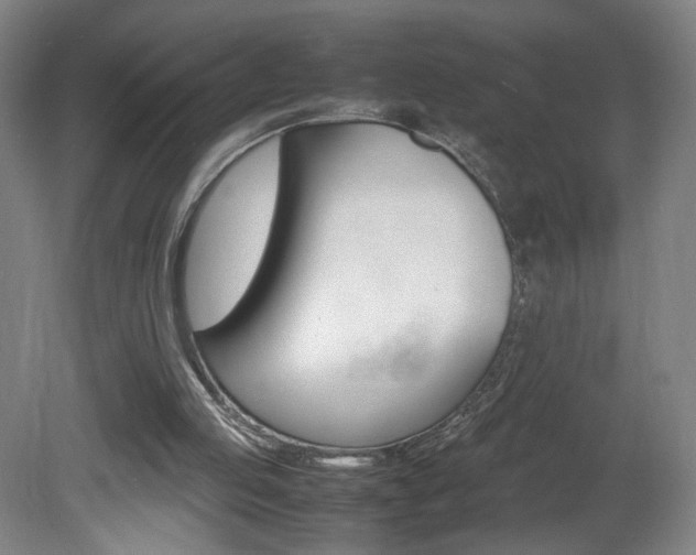 X0000082140053200701191008