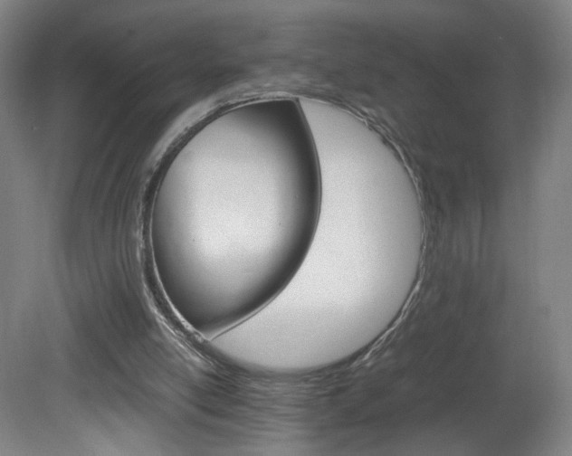 X0000082140054200701191008