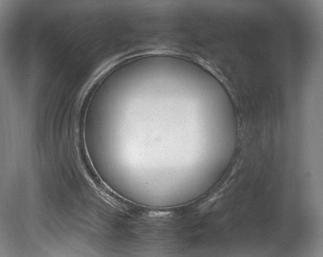 X0000082140055200701191008