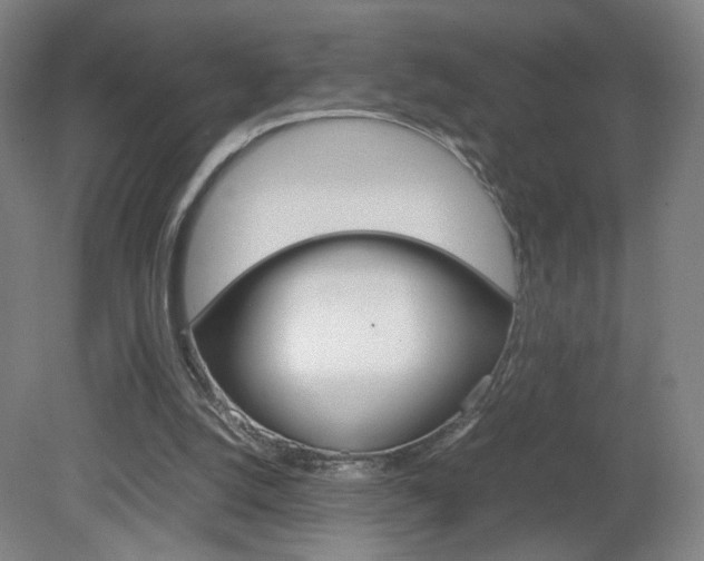 X0000082140056200701191008