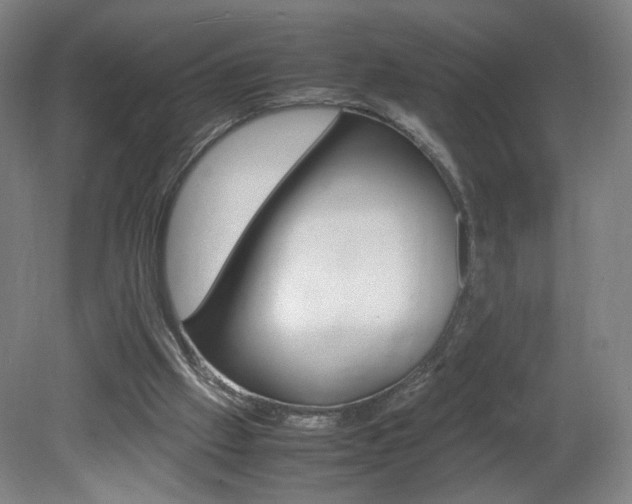 X0000082140057200701191008