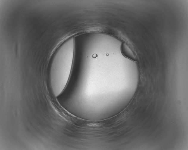 X0000082140059200701191008
