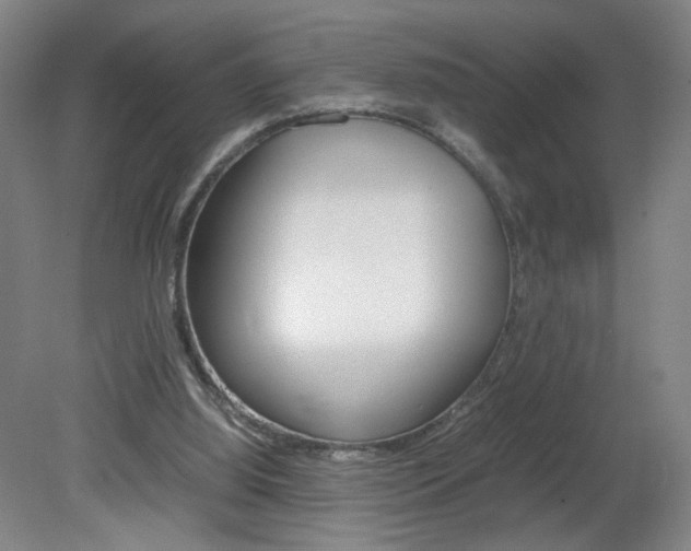 X0000082140060200701191008