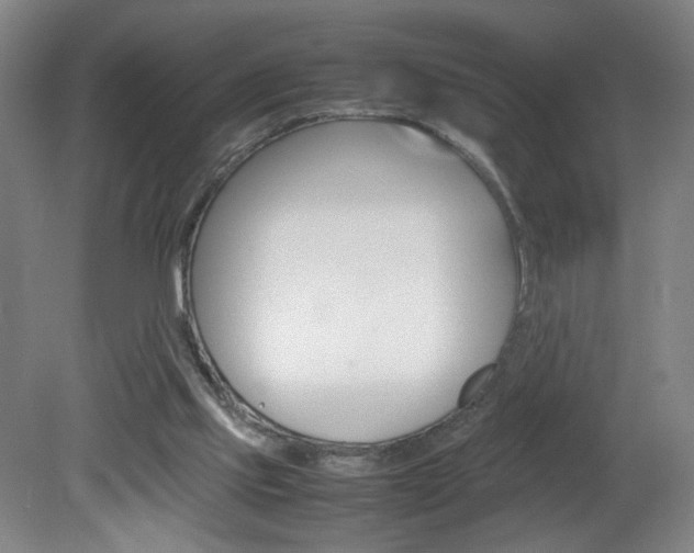 X0000082140061200701191008