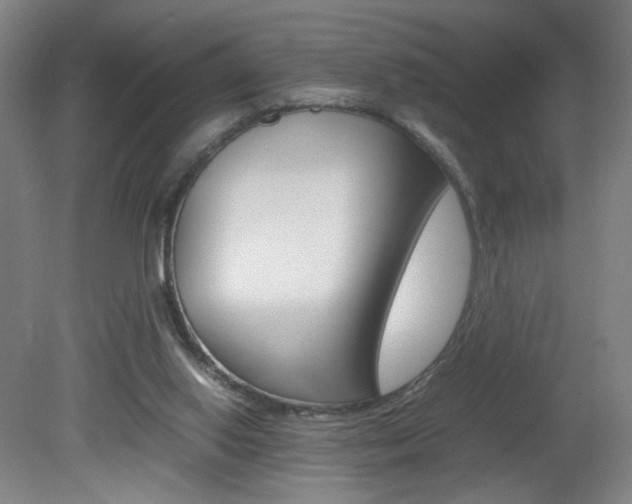 X0000082140062200701191008