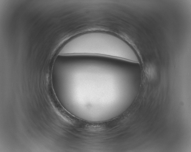 X0000082140063200701191008