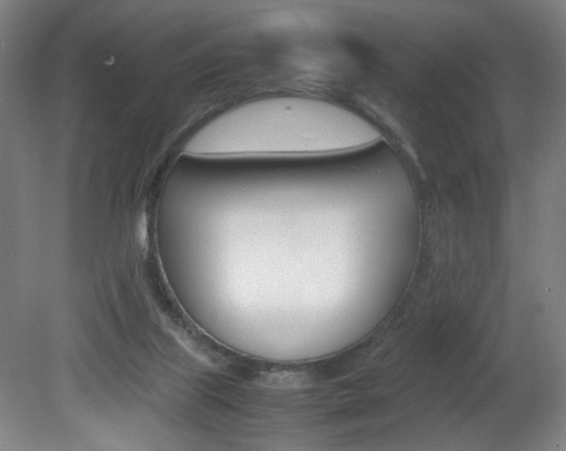 X0000082140067200701191008