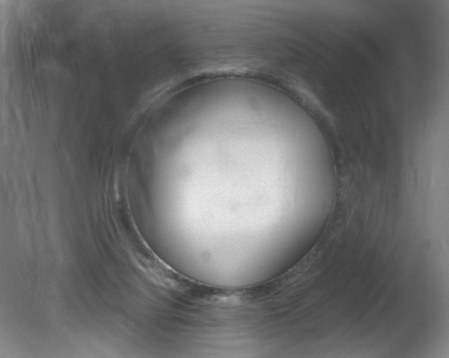 X0000082140068200701191008