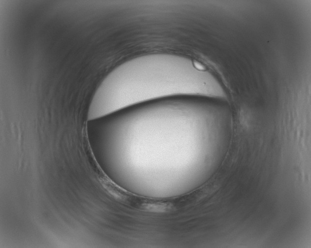 X0000082140069200701191008