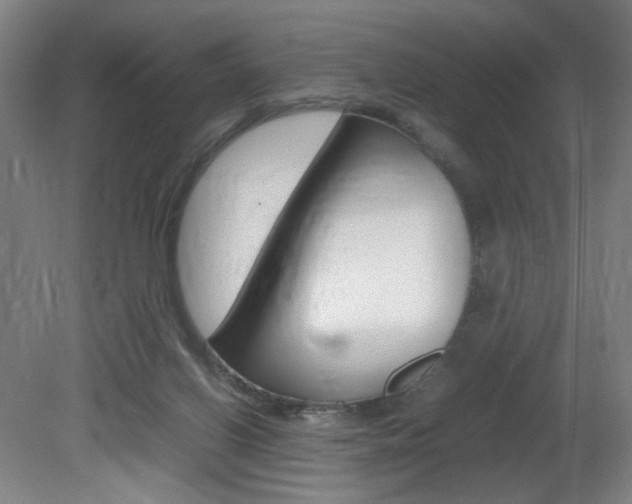 X0000082140070200701191008