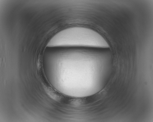 X0000082140074200701191008