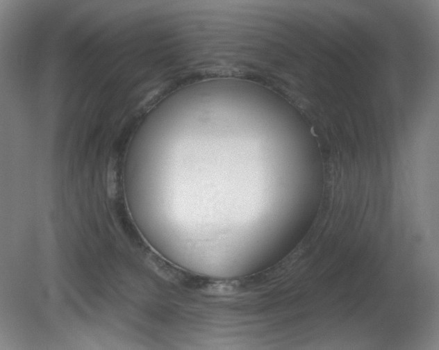 X0000082140080200701191009