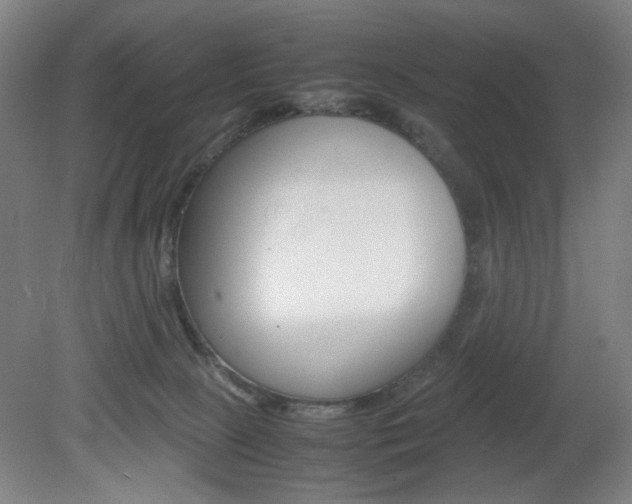 X0000082140081200701191009
