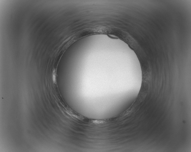 X0000082140095200701191009