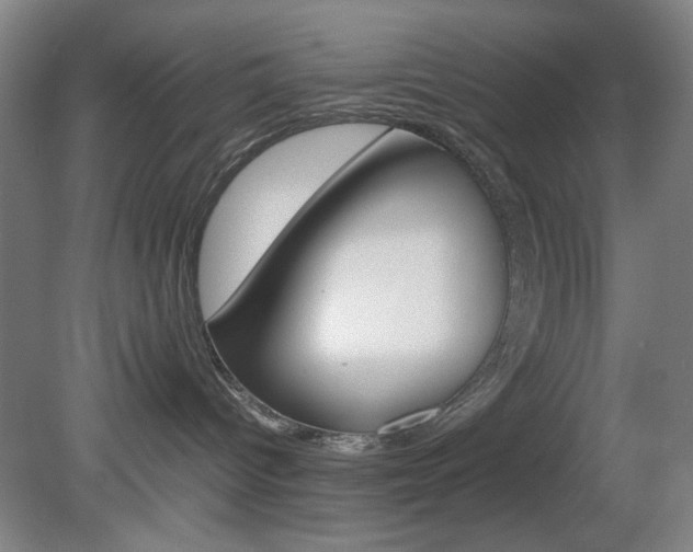 X0000082140096200701191009