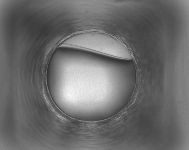 X0000082140097200701191008