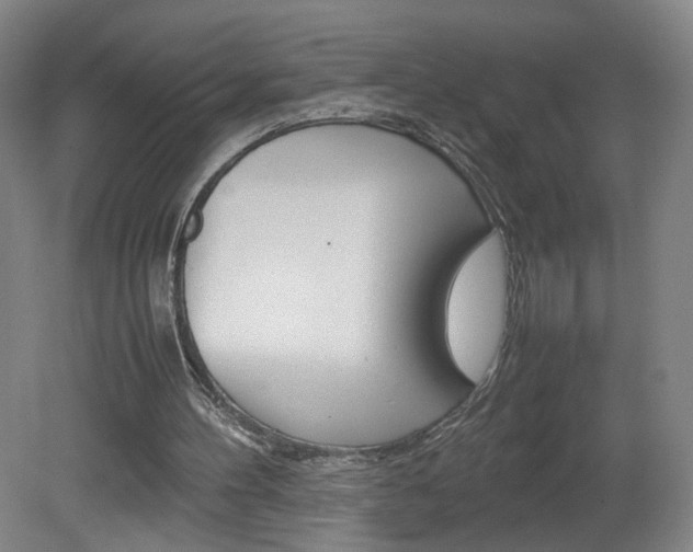 X0000082140100200701191008
